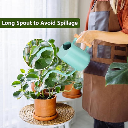 Watering Can Indoor Plants, 35oz Small Indoor Stainless Steel Metal Watering Can Modern Decorative Watering Pot with Long Spout for Indoor House Plant Bonsai Outdoor Garden Flowers -Green