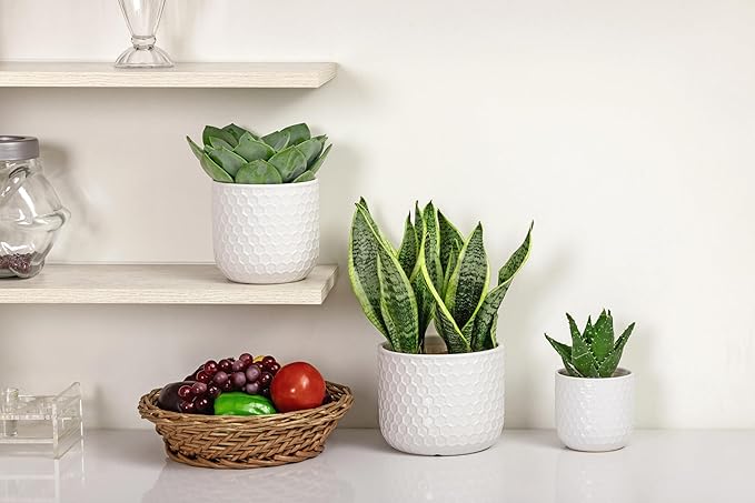 Docrin Plant Pots Indoor with Drainage: 6.4+5.3+4 Inch Ceramic Flower Pots for Plants - Set of 3 Modern Decorative Planters for House/Office/Gift - White Honeycomb