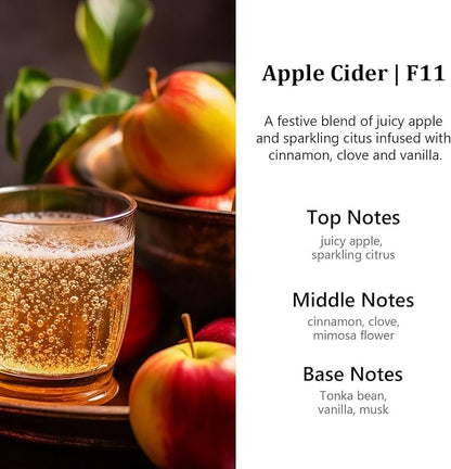 HoogaLife Car Air Freshener Diffuser 2 Pack Hanging Air Freshener Diffuser - Apple Cider Fragrance Oil Air D iffuser for Car, 45+ days Long Lasting Fragrance Made in USA （F11）
