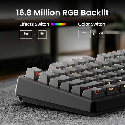 Kisnt KN85 Wireless Mechanical Keyboard, 75% Layout with Side Printed PBT Keycaps, Bluetooth/2.4GHz/USB-C, Custom RGB Backlit, Hot-Swappable Linear Switch,Creamy Sound for Gaming/Typing(Gradient Gray)