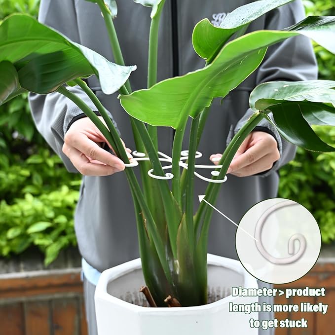 6.5 * 6.5in Monstera Plant Support Hook 5PCS - Durable Stabilizer & Leaf Holder for Indoor Plants, Flexible Installation & Soft Grip Design - Perfect for Fishbone Cactus and Other Houseplants