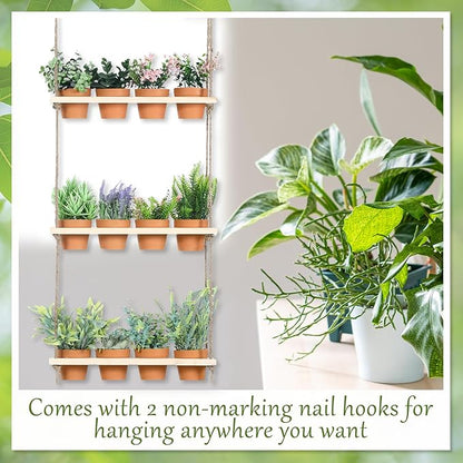 3 Tiered Hanging Herb Planters Hanging Herb Garden Wall with 12 Pcs Nursery Pot Wood Vertical Window Plant Shelf with Holes and Rope Plastic Flower Pots Spring Garden Indoor Kitchen