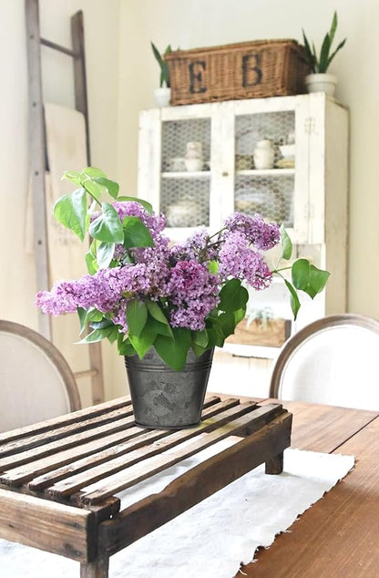 Briful 5PCS Galvanized Buckets 7.1In Rustic Farmhouse Metal Bucket Galvanized Flower Bucket Home Indoor Outdoor Decorative Tin Planters