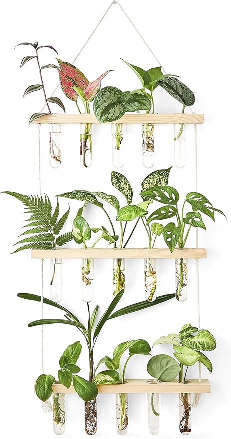 Mkono 3 Tiered Wall Hanging Plant Terrarium with Wooden Stand, Glass Planter for Hydroponic Plant Cutting, Home Garden Office Decor, Gift