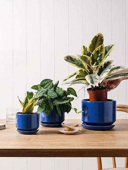 LE TAUCI Ceramic Plant Pots, 4.3+5.3+6.8 inch, Set of 3, Planters with Drainage Hole and Saucer, Indoor Flower Pot with Hole Mesh Pad, Gifts for Mom, Sapphire Blue