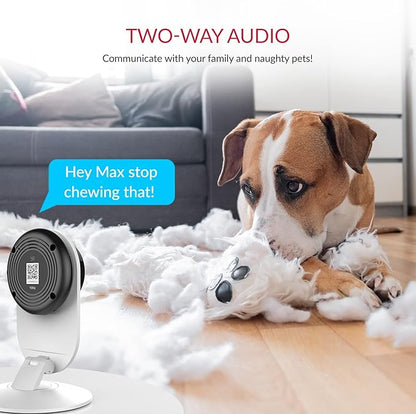 YI Pro 2K Home Security Camera, 2.4Ghz Wired Indoor Camera with Person, Vehicle, Animal Smart Detection, Phone App, Compatible with Alexa and Google Assistant 2Packs