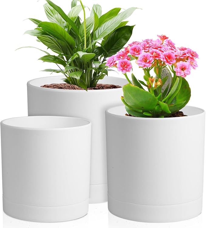 6/5/4 inch Flower Pots, Pack of 3 Cylinder Plant Pots for Small Indoor Outdoor Plants, Plastic Planters with Drainage Holes and Saucers for Garden Succulent Nursery House Plants, White