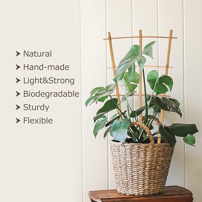 Plant Trellis Indoor 6 Pack Bamboo Trellis with Twist Ties, 16in Fan-Shaped Plant Trellises for Potted Plants Hoya Vines Monstera Houseplants