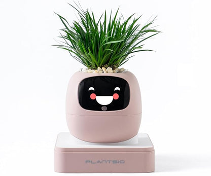 PLANTSIO Ivy Interactive AI Desk Companion, Smart Plant Pet with 100+ Expressions, Cute Indoor Planter for Office Decor, Unique Gift for Plant Lovers & Coworkers(Blush)