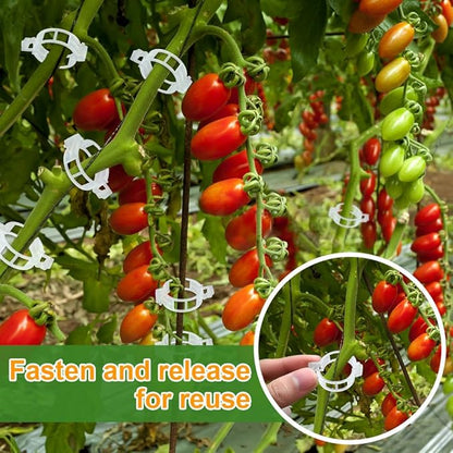 200 Pcs Plant Support Garden Clips, Tomato Clips, Crop Clips for Vine Vegetables, Fixing Tomato, Sweet Pepper, Eggplant, Makes Plants Grow Upright and Healthier