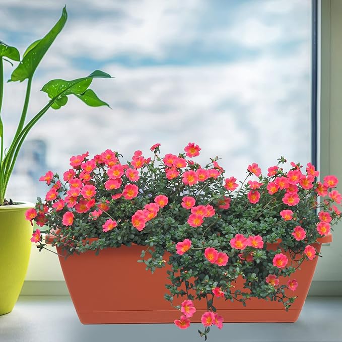 8pcs Window Box Planter,17 Inches Flower Window Boxes, Rectangle Planters Box with Drainage Holes and Trays, Plastic Vegetable Planters for Windowsill Patio Garden Home Decor Porch Yard (Red)