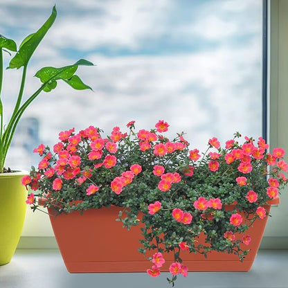 8pcs Window Box Planter,17 Inches Flower Window Boxes, Rectangle Planters Box with Drainage Holes and Trays, Plastic Vegetable Planters for Windowsill Patio Garden Home Decor Porch Yard (Red)