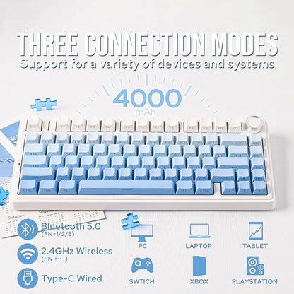 EPOMAKER x Aula F75 Gasket Mechanical Keyboard, 75% Wireless Hot Swappable Gaming Keyboard with Five-Layer Padding&Knob, BT/2.4GHz/USB-C, RGB (Blue Gradient, LEOBOG Reaper Switch)