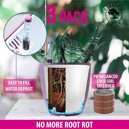 GARDENIX DECOR Self Watering Pots for Indoor Plants 3 Pack - Flower Pot with Water Level Indicator for Plants, Grow Tracking Tool - Self Watering Planter Plant Pot - Coco Coir - Purple