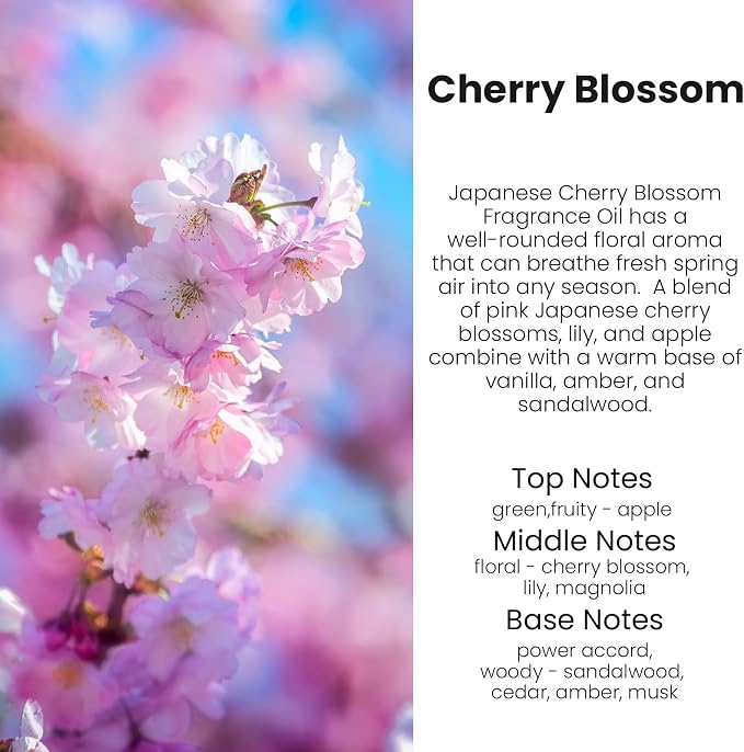 HoogaLife Car Air Freshener Diffuser 2 Pack Hanging Cherry Bloom Car Air Freshener for Women 45+ days Long Lasting Fragrance Made in USA (C12)