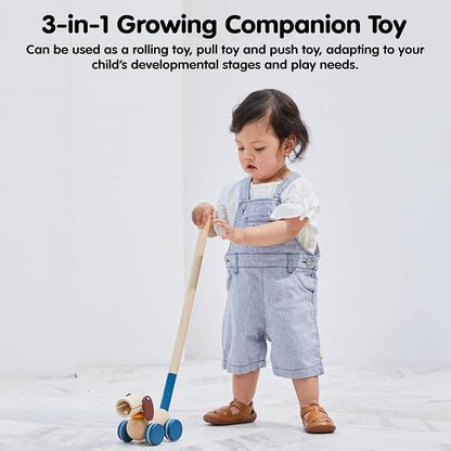 PlanToys® Puppy Wooden Push & Pull Toy | Montessori Inspired Walking Toy for Balance, Coordination & Active Play | Eco Friendly Toddler Movement Activity