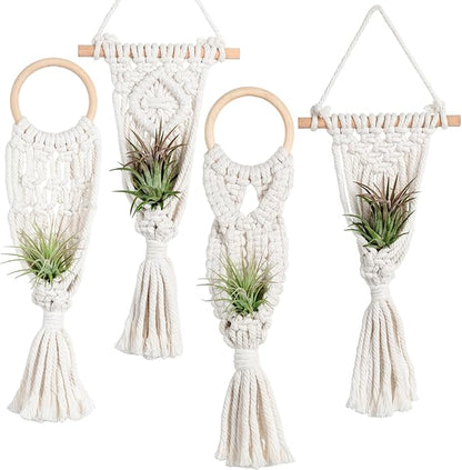 Melphoe 4 Pack Air Plants Holders Stand Air Fern Macrame Plant Hanger Indoor Hanging Planter Basket for Tillandsias Display, Boho Home Decoration Gift Idea