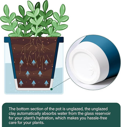 D'vine Dev 4 Inch Design Self Watering Planter for Indoor Plants, Blue Terracotta Pot with Cylinder Glass Cup, 37-X-A-4