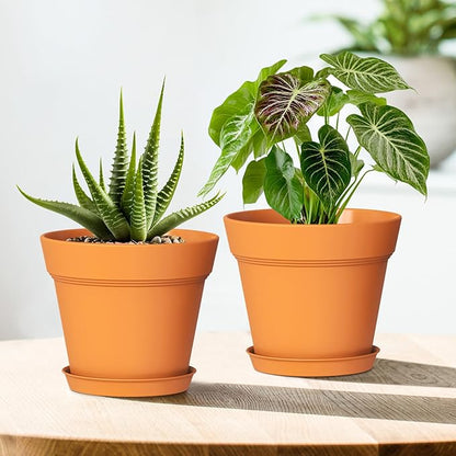 5 Inch Plastic Plant Pots with Drainage Holes and Trays – 6 Pack Small Nursery Pots for Indoor & Outdoor House Plants and Flowers, Seedling Starter Planters, Terracotta