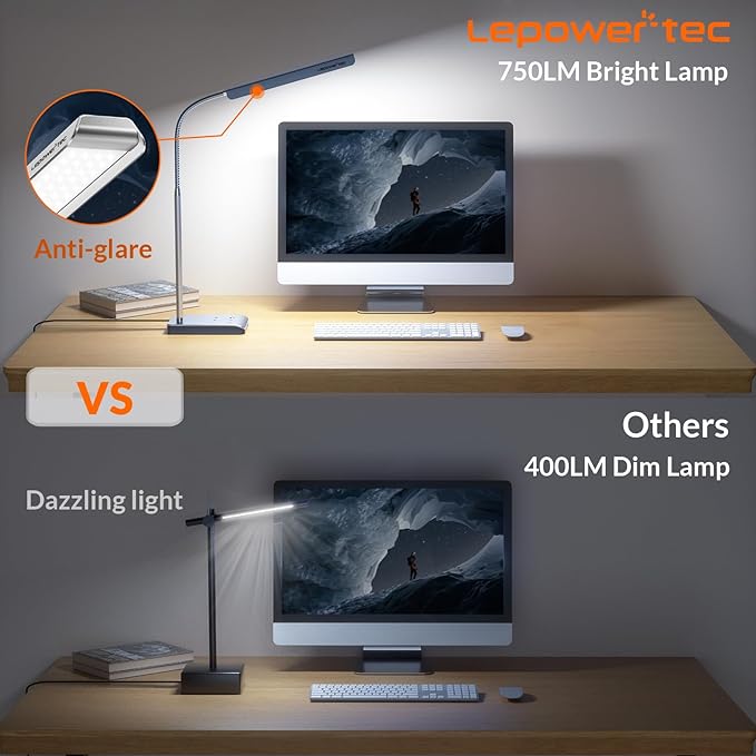 LED Desk Lamp, 12W Reading Desk Lamp for Office Home with 60 Lighting Modes, Touch Control & Timer Function, 750LM Bright Eye-Caring Gooseneck Desk Light Table Lamp for Study, Work, Silver