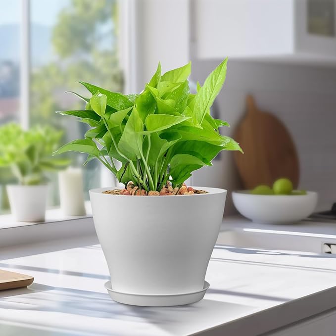 6 inch Plastic Nursery Pots, 16 Pack Plant Pots for Small Indoor Outdoor Plants, Flower Pots with Drainage Holes and Saucers, Decorative Seedling Starter Planters for House Plants, White