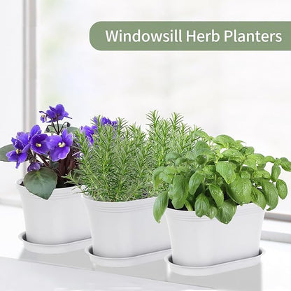 Windowsill Garden Pots, White Plastic Flower Pots with Drainage Tray for Herb, Succulents, African Violet (Pack of 6)
