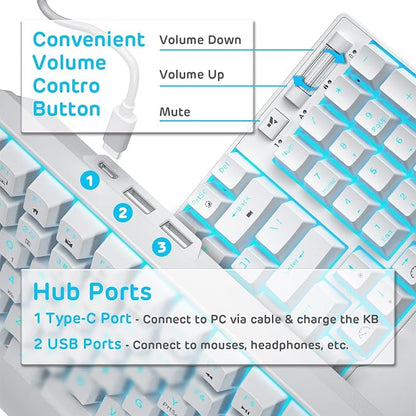 RK ROYAL KLUDGE RK96 Wireless Mechanical Keyboard with Magnetic Wrist Rest | 96 Keys Hot Swappable Wireless Gaming Keyboard with Software, Triple Mode BT5.0/2.4G/USB-C, Blue Backlight, Custom Switch