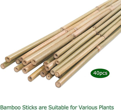 40pcs Natural Bamboo Sticks for Indoor and Outdoor Plants, 16 Inch Plant Support Stakes for Tomato, Beans, Potted Plants and Vegetable