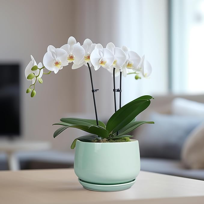G EPGardening Ceramic Plant Pots - 6 Inch Pot for Plants, Ceramic Planter with Drainage and Saucer, Flower Indoor Outdoor Planter, Modern Bathroom Decor, Birthday Gifts, Green