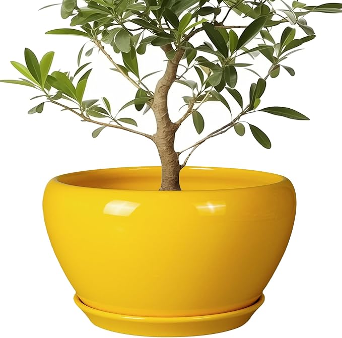 Ceramic Planter for Indoor Plants - 13 Inch Mid-Century Decorative Modern Large Plant Pot with Drainage Hole and Saucer, Home Balcony House Garden Patio Room Office Decor, Yellow