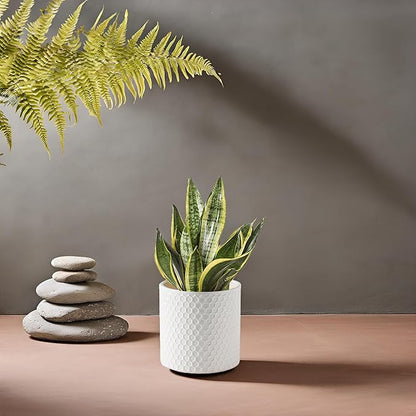 Docrin Ceramic Planters Indoor, 8 Inch Plant Pot with Drainage Holes for Home/Office - White Honeycomb