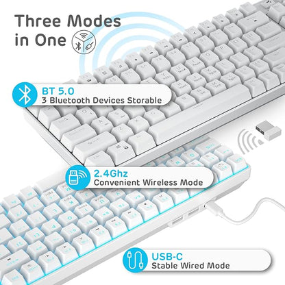 RK ROYAL KLUDGE RK96 Wireless Mechanical Keyboard with Magnetic Wrist Rest | 96 Keys Hot Swappable Wireless Gaming Keyboard with Software, Triple Mode BT5.0/2.4G/USB-C, Blue Backlight, Custom Switch