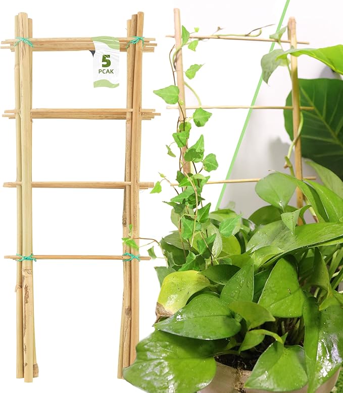 Avalution 5 Pack Bamboo Trellis for Climbing Plants Indoor, 16 Inch Garden Ladder Trellis for Potted Plants, Fan-Shaped Small Plant Support Trellis for Houseplants Ivy Hoya Vine Monstera