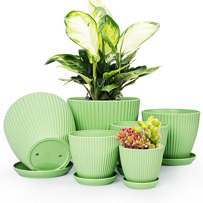 Plant Pots Indoor with Saucers & Drainage - 6 Pack Flower Pots - Plastic Planters for Indoor Planter - 7.5/6.6/5.8/5.0/4.3/3.5 inches Sizes for All Different Types of Plants-Light Green