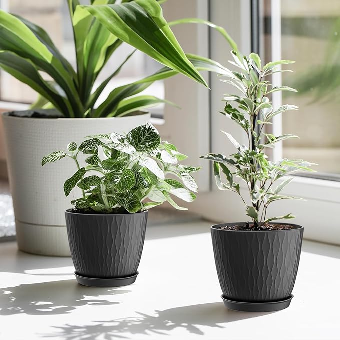 6 inch Plant Pots, 5 Pack Flower Pots with Drainage Holes and Saucers for Indoor Plants, Plastic Planters with Water Ripple for Small Garden House Plants, Nursery Pots for Succulent, Black