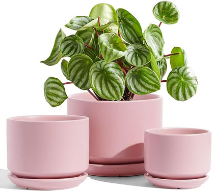 LE TAUCI Ceramic Plant Pots, 4.3+5.3+6.8 inch, Set of 3, Planters with Drainage Hole and Saucer, Indoor Flower Pot with Hole Mesh Pad, Gifts for Mom, Pink