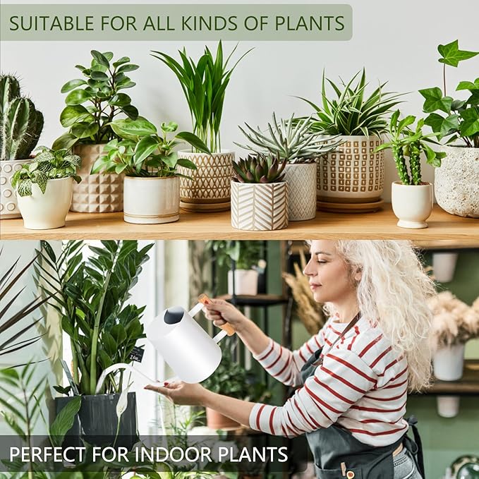 Watering Can Indoor Plants, 35oz Small Stainless Steel Metal Watering Can Modern Decorative Watering Pot with Long Spout for Indoor House Plant Bonsai Outdoor Garden Flowers -White