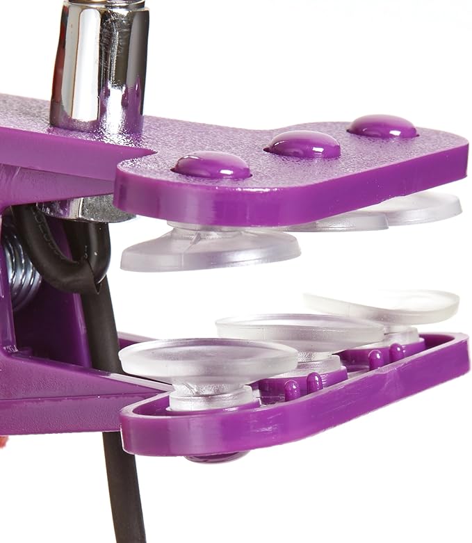 Newhouse Lighting LED Clip on Light/Clamp Lamp/Reading Book Light for Desk, Bed, Office, and Dorm Room, Purple