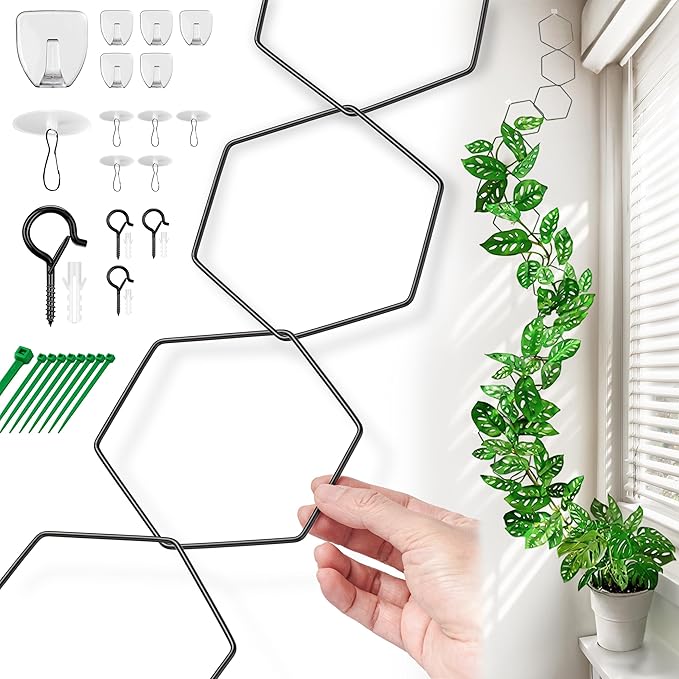 Chain Trellis for Climbing Plants - Indoor & Outdoor House Plant Accessories for Monstera, Pothos, Ivy, and More | Garden Wall Trellis and Plant Vine Support - Houseplant Accessories and Plant Gifts