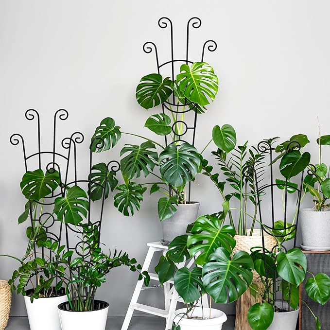 32.6in Monstera Plant Support Stakes for Indoor Plants, Metal Garden Plant Trellis for Climbing Plants, Pothos Vine Snake Climber Support，4p