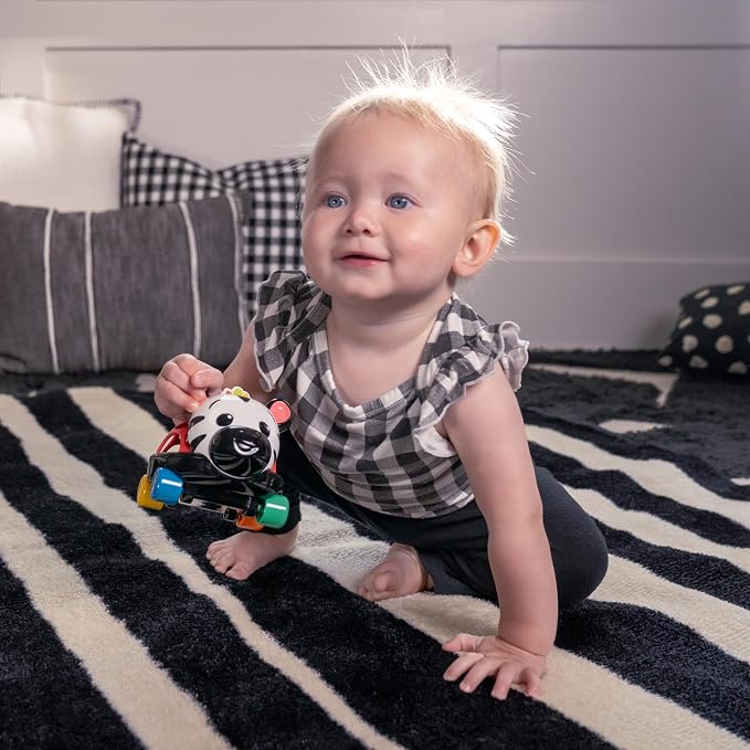 Baby Einstein Curious Car Zen Oball Toy Car & Rattle, Light Up, Ages 3 Months+, Zen The Zebra