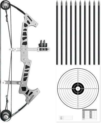 Archery Bow Set Left and Right Hand Compound Bow Hunting Bow Metal Material Catapult RH/LH for Practice Archery