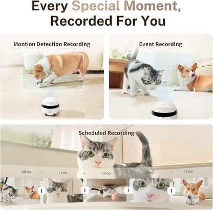 Enabot EBO ROLA Mini Pet Camera Robot: 2K FamilyBot Mobile Home Companion | Whole-Home Mobility, Two-Way Talk, Night Vision, Long Battery Life, Local Storage, Long Distance Gift