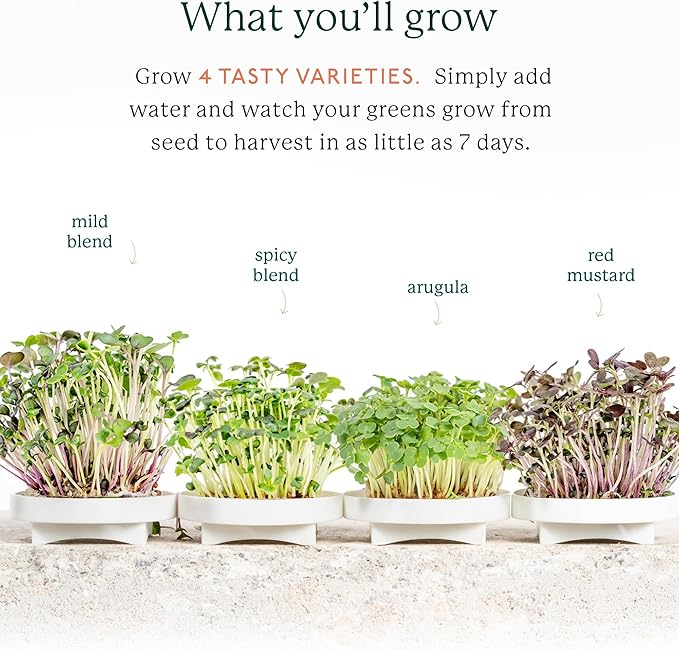 GARDYN Complete Microgreens Growing Kit - Indoor Herb Garden - Indoor Hydroponics Growing System Kit Nursery Seed Starter Tray, 20 Seed Pads, Bamboo Wicks,10 Grow Plates