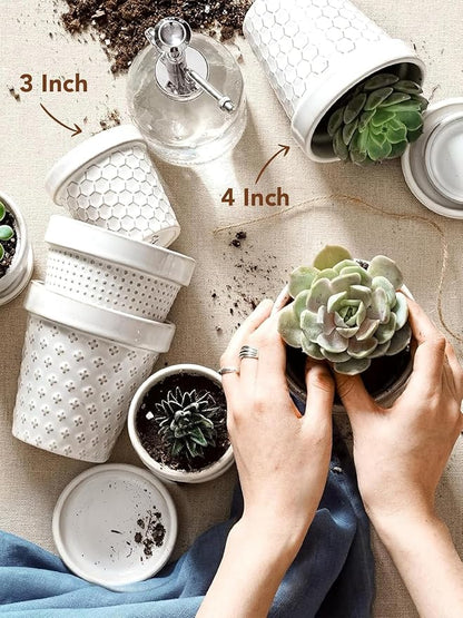 LE TAUCI Ceramic Succulent Pots, 4 Inch Small Plant Pot for Indoor Plant Cactus, Embossed Flower Pots with Drainage Hole & Saucer - Set of 4, Arctic White
