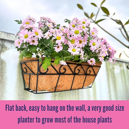LaLaGreen Wall Planters for Outdoor Plants (2 Pack, 16 Inch) Window Flower Boxes Basket Attach to House, Deck Railing Strawberry Planters with Coco Liners BalconyTroughs Fence Patio Porch Over Rail