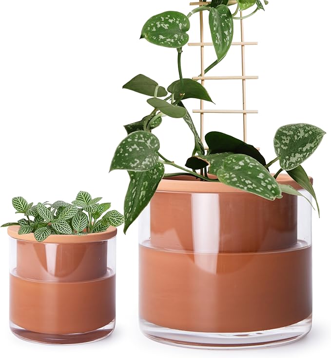 Phoenix Vine 4 Inch 6 Inch Self Watering Plants Pots, Design Terracotta Pots for Plants, Indoor Cylinder Terra Cotta Planter with Glass Vase Set, 51-A-G-46