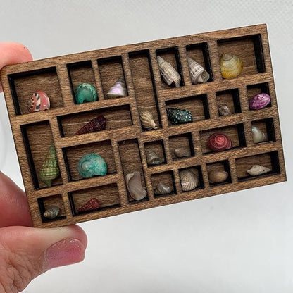 5X 1:12 Miniature Trinket Shelf Crystal Shelf Decor Printers Tray