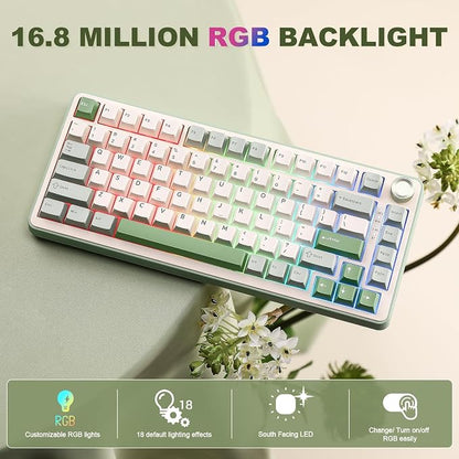 YUNZII B75 PRO 75% Wireless Mechanical Keyboard(Matcha Green,MilkV2) | Hot Swap Keyboard with Knob, Gasket Mount, Creamy Pre-lubed Switch for Smooth Typing, BT/USB-C/2.4G, for Gaming
