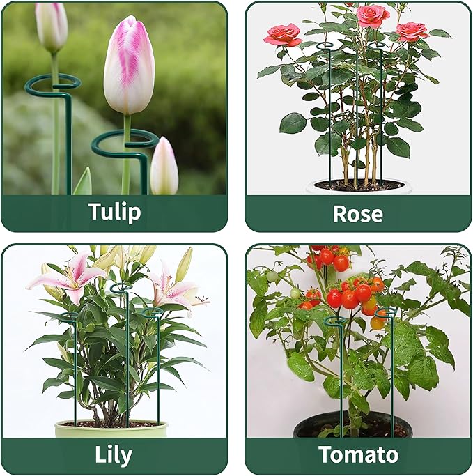 36” Tall Plant Stakes, 12 Pack Plant Support Stakes,6mm Heavy-Duty Metal Garden Stakes, Flower Stakes for Lilies, Dahlias, Gladiolus, Sunflowers, Tomato, Clematis